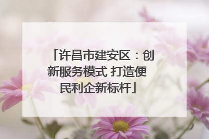 许昌市建安区：创新服务模式 打造便民利企新标杆