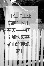 让“工业伤疤”长出春天——辽宁加快废弃矿山治理观察