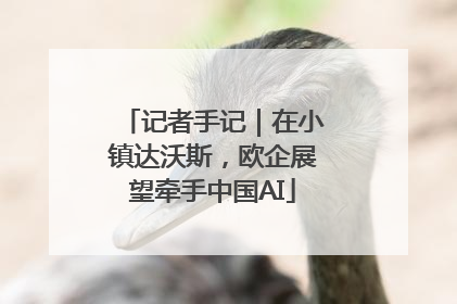 记者手记｜在小镇达沃斯，欧企展望牵手中国AI
