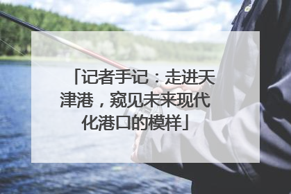 记者手记：走进天津港，窥见未来现代化港口的模样