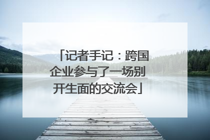 记者手记：跨国企业参与了一场别开生面的交流会