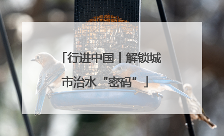 行进中国丨解锁城市治水“密码”