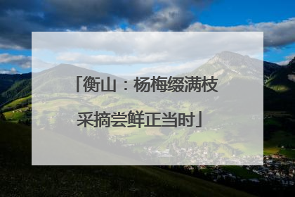 衡山：杨梅缀满枝 采摘尝鲜正当时