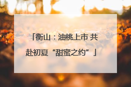 衡山：油桃上市 共赴初夏“甜蜜之约”