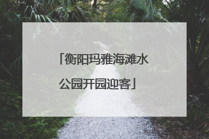衡阳玛雅海滩水公园开园迎客