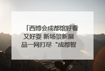 西博会成都馆好看又好耍 新场景新展品一网打尽“成都智造”｜西博视界