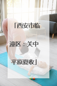 西安市临潼区：关中平原夏收