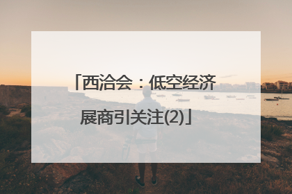 西洽会：低空经济展商引关注(2)