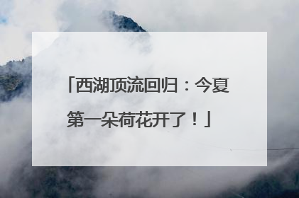 西湖顶流回归：今夏第一朵荷花开了！