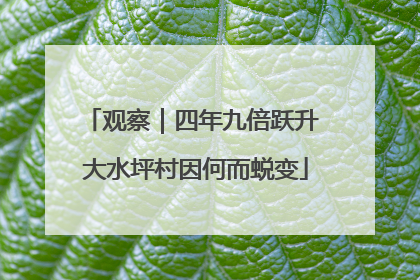 观察｜四年九倍跃升 大水坪村因何而蜕变