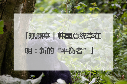 观澜亭｜韩国总统李在明：新的“平衡者”