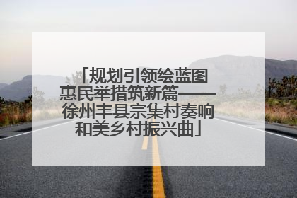 规划引领绘蓝图 惠民举措筑新篇——徐州丰县宗集村奏响和美乡村振兴曲