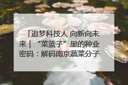 追梦科技人 向新向未来｜“菜篮子”里的种业密码：解码南京蔬菜分子育种的创新之路