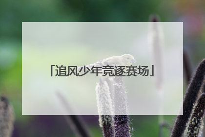 追风少年竞逐赛场