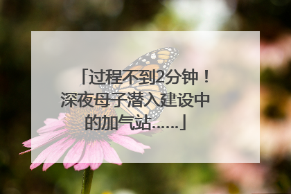 过程不到2分钟！深夜母子潜入建设中的加气站……
