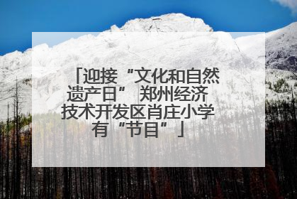 迎接“文化和自然遗产日” 郑州经济技术开发区肖庄小学有“节目”