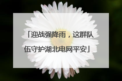 迎战强降雨，这群队伍守护湖北电网平安