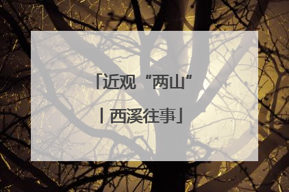 近观“两山”丨西溪往事