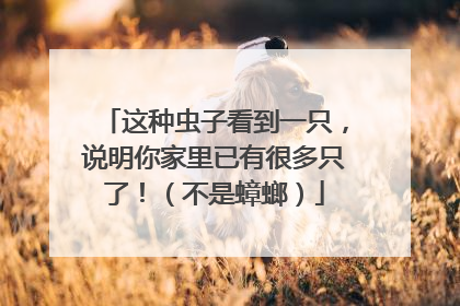 这种虫子看到一只，说明你家里已有很多只了！（不是蟑螂）