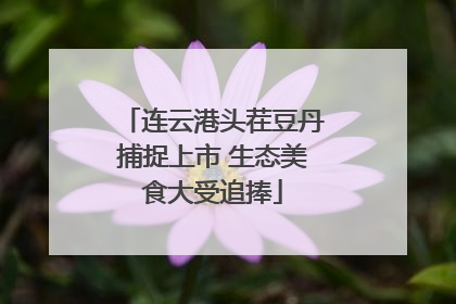 连云港头茬豆丹捕捉上市 生态美食大受追捧