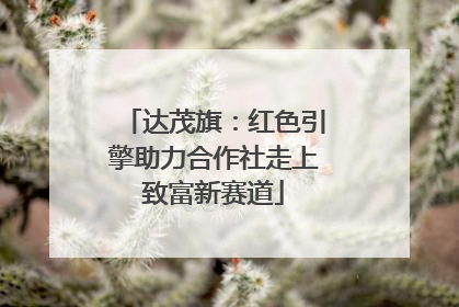 达茂旗：红色引擎助力合作社走上致富新赛道