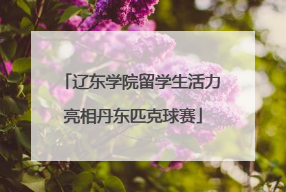 辽东学院留学生活力亮相丹东匹克球赛