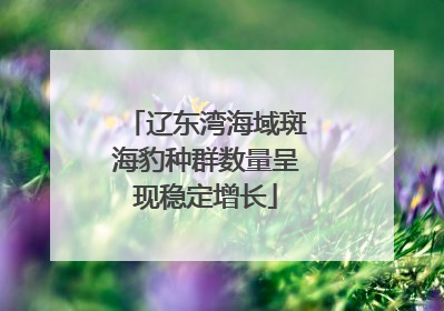 辽东湾海域斑海豹种群数量呈现稳定增长