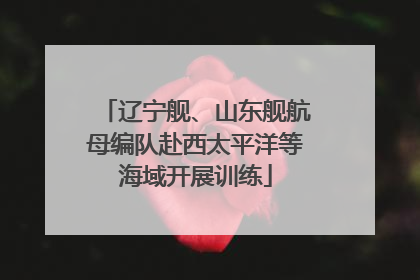 辽宁舰、山东舰航母编队赴西太平洋等海域开展训练