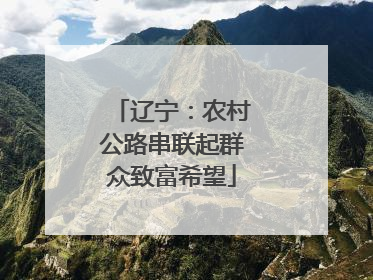 辽宁：农村公路串联起群众致富希望