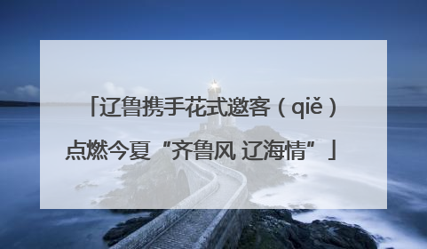 辽鲁携手花式邀客（qiě）点燃今夏“齐鲁风 辽海情”