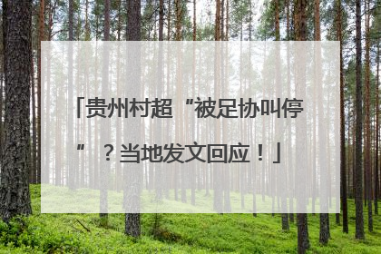 贵州村超“被足协叫停”？当地发文回应！