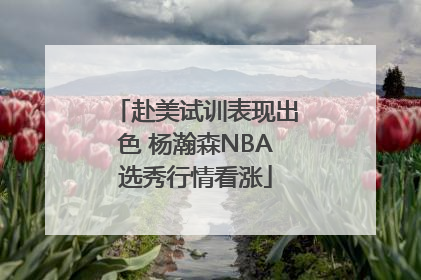 赴美试训表现出色 杨瀚森NBA选秀行情看涨