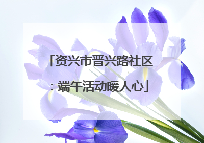 资兴市晋兴路社区：端午活动暖人心
