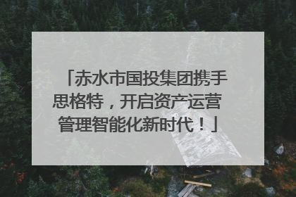 赤水市国投集团携手思格特，开启资产运营管理智能化新时代！