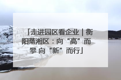 走进园区看企业｜衡阳蒸湘区：向“高”而攀 向“新”而行