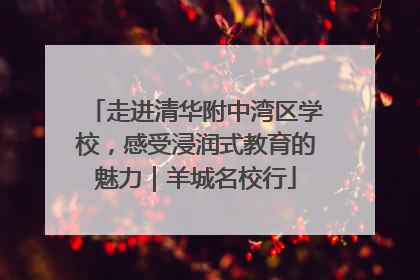 走进清华附中湾区学校，感受浸润式教育的魅力｜羊城名校行