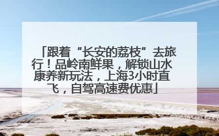 跟着“长安的荔枝”去旅行！品岭南鲜果，解锁山水康养新玩法，上海3小时直飞，自驾高速费优惠