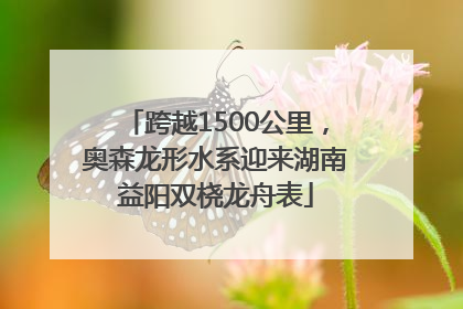 跨越1500公里，奥森龙形水系迎来湖南益阳双桡龙舟表