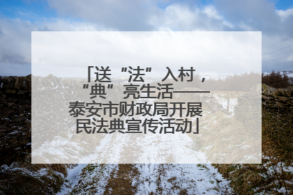 送“法”入村，“典”亮生活——泰安市财政局开展民法典宣传活动