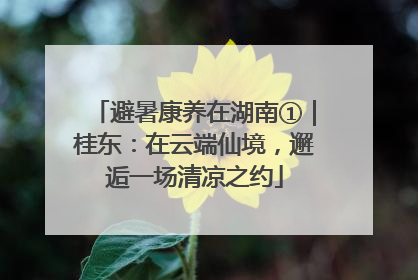 避暑康养在湖南①｜桂东：在云端仙境，邂逅一场清凉之约