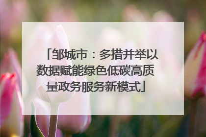 邹城市：多措并举以数据赋能绿色低碳高质量政务服务新模式