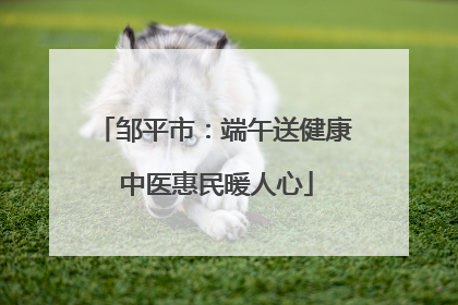 邹平市：端午送健康 中医惠民暖人心