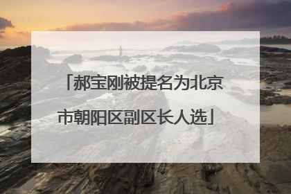 郝宝刚被提名为北京市朝阳区副区长人选
