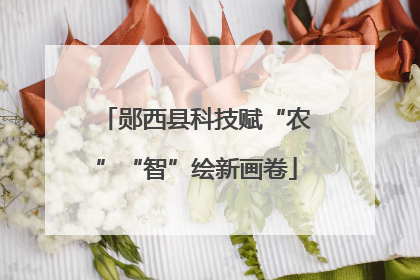 郧西县科技赋“农”“智”绘新画卷