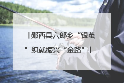 郧西县六郎乡“银茧”织就振兴“金路”
