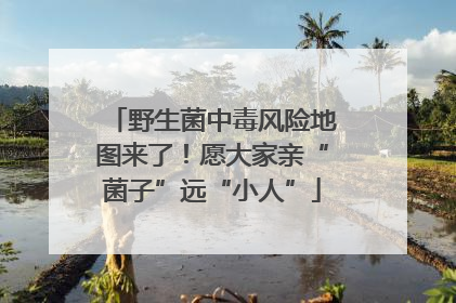 野生菌中毒风险地图来了！愿大家亲“菌子”远“小人”