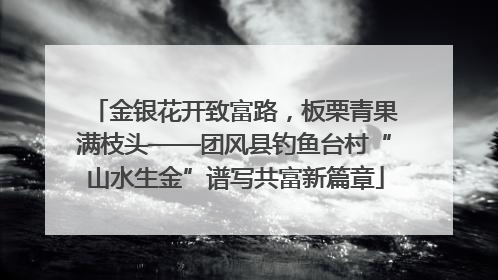 金银花开致富路，板栗青果满枝头——团风县钓鱼台村“山水生金”谱写共富新篇章