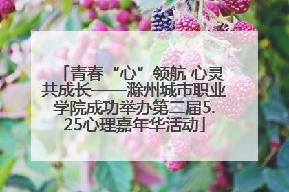 青春“心”领航 心灵共成长——滁州城市职业学院成功举办第二届5.25心理嘉年华活动