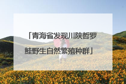 青海省发现川陕哲罗鲑野生自然繁殖种群