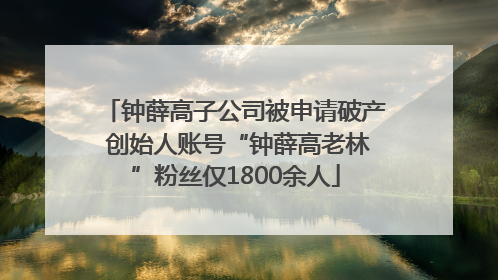 钟薛高子公司被申请破产 创始人账号“钟薛高老林”粉丝仅1800余人